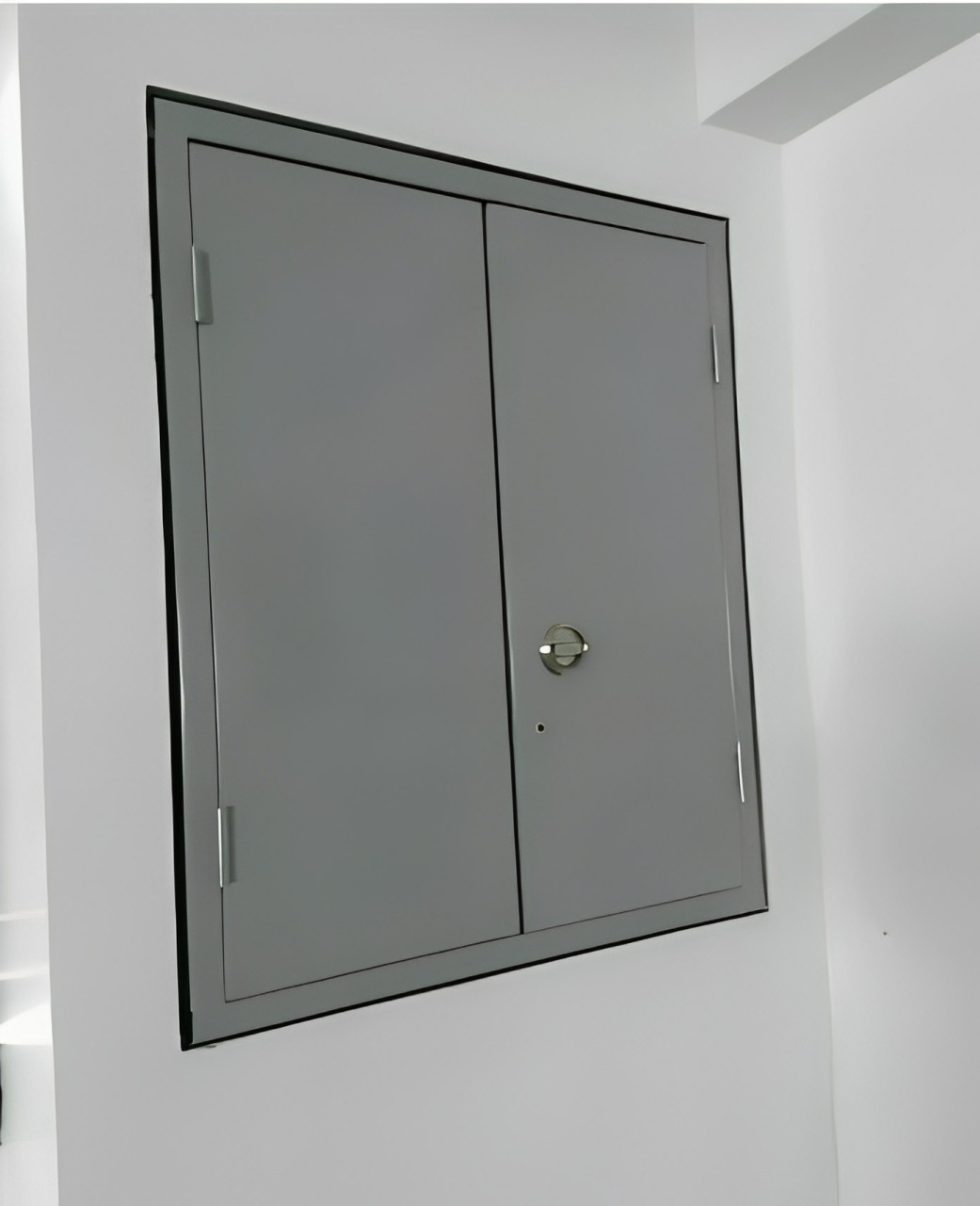 Double Shaft Door